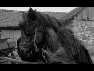 turin horse (2011) bela tarr, agnes chranitzky